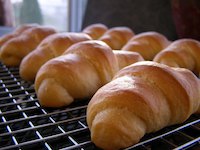 Soft Dinner Rolls