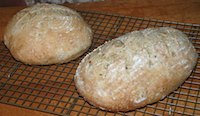 Italian Sourdough With Harvest Grain Blend