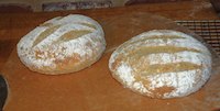 Semolina Potato Barley Sourdough Bread