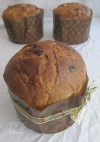 Panettone Con Lievito Naturale