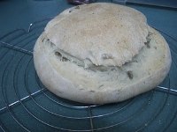 Rustic Thyme and Olive Bread