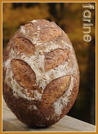 Noah Elber's Maple-Oatmeal Bread
