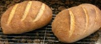 Sourdough loaves