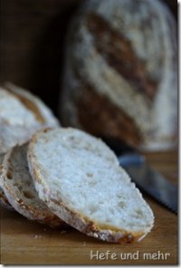 Sourdough bread with roasted oats