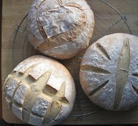 Rosemary bread