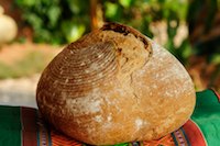 Brown Country Semi Sourdough