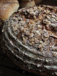 Honey Oat Sourdough