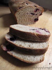 Blueberry Rye Sourdough