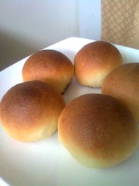 No-Knead Butter Rolls