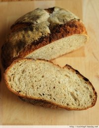 Martin's February Bread