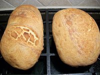 Viena Bread with a Dutch Crumb
