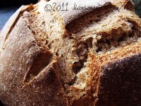 Whole Wheat Sourdough Bread