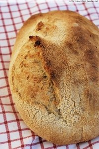 No-Knead-Bread