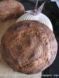 Pugliese - Italian bread with durum flour