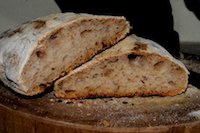 Sourdough Ciabatta