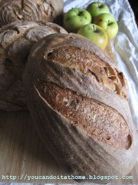 Apple Sourdough Bread