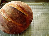 Peter Reinhart Bread