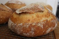 Tartine's Country Sourdough and Rye Sourdough