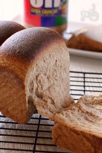 Sourdough 100% whole wheat banana sandwich loaf