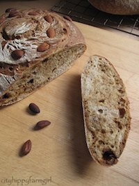 almond fig and rosemary bread