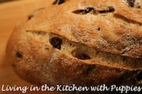 Seeded bread with sourdough