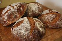 2 Tartine Sourdoughs: Rye & Whole Wheat