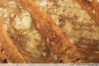 Bread with sourdough and yeast