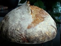 hamelman's Pain au Levain with Whole-Wheat Flour