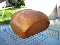 Tassajara Basic Bread, 50% Whole Wheat