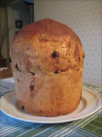 Panettone