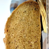 Guinness Bread with Herbs
