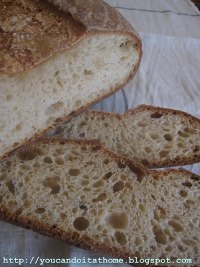 7-type Flour Sourdough with Wheat Germ
