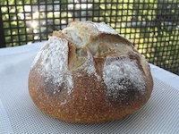 White beer, fennel seeds and rosemary sourdough