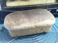 KAF 100% Whole Wheat Bread