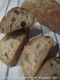 Ciabatta with Wheat Germs and Olive Oil