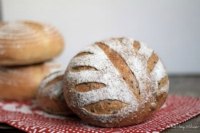 Honey sesame & walnut bread