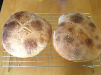 River Cottage Sourdough