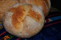 Sourdough Italian Buns