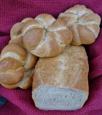 Vienna Bread