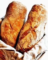 Rustic Italian Bread With Durum