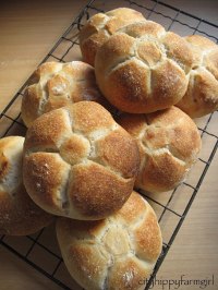 rosetta rolls