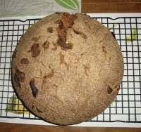 Rye Sourdough Boule with Sprouted Wheat