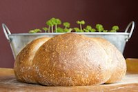 Wheat Beer Bread