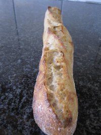 Sourdough Baguettes