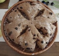 KAMUT Sourdough Fougasse with Raisins