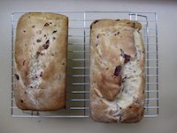 Freshly Fruited Yeast Bread