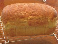 Hungarian White Bread