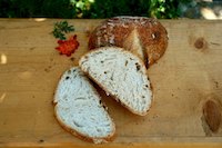 Apple Yeast Water Bread