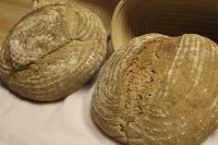 Whole Wheat and Rye Sourdough Bread
