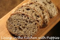 Five-Grain Levain